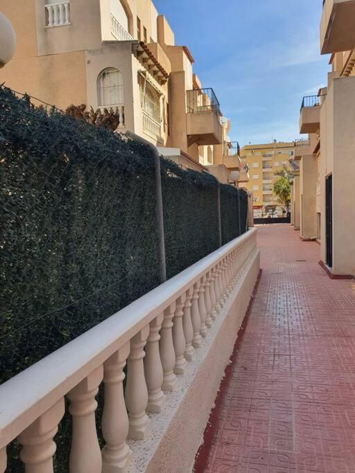 Apartments Near Park Torrevieja Dış mekan fotoğraf